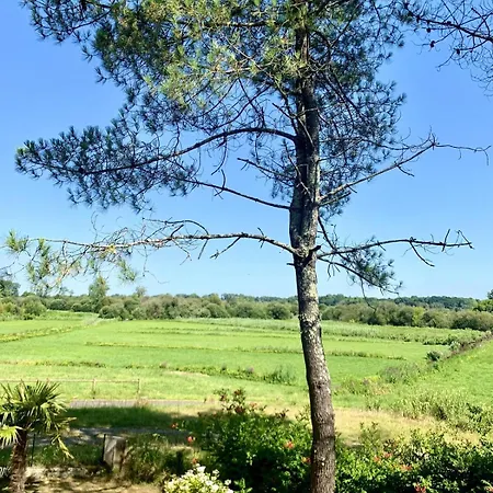 Agreable Maison Avec Vue Sur Les Barthes Holiday home *